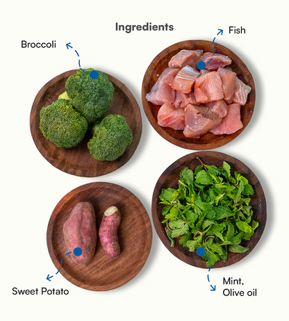 Pawfectly Made By Licious Fish Broccoli & Sweet Potato Home Meal for Dogs