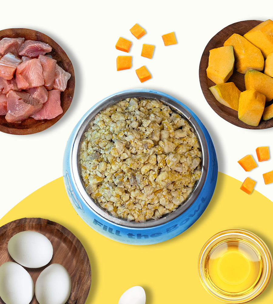 Pawfectly Made By Licious Fish & Pumpkin Home Meal for Cats