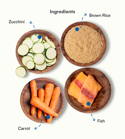 Pawfectly Made By Licious Fish Rice & Veggies Home Meal for Dogs