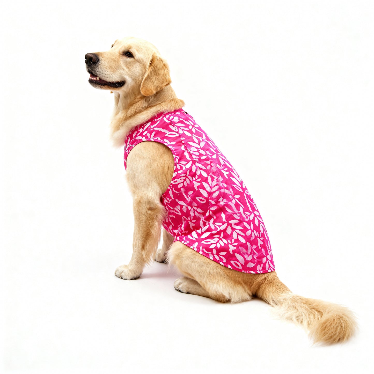 Skatrs Cotton Shirt for Dogs and Cats (Hot Pink and White)
