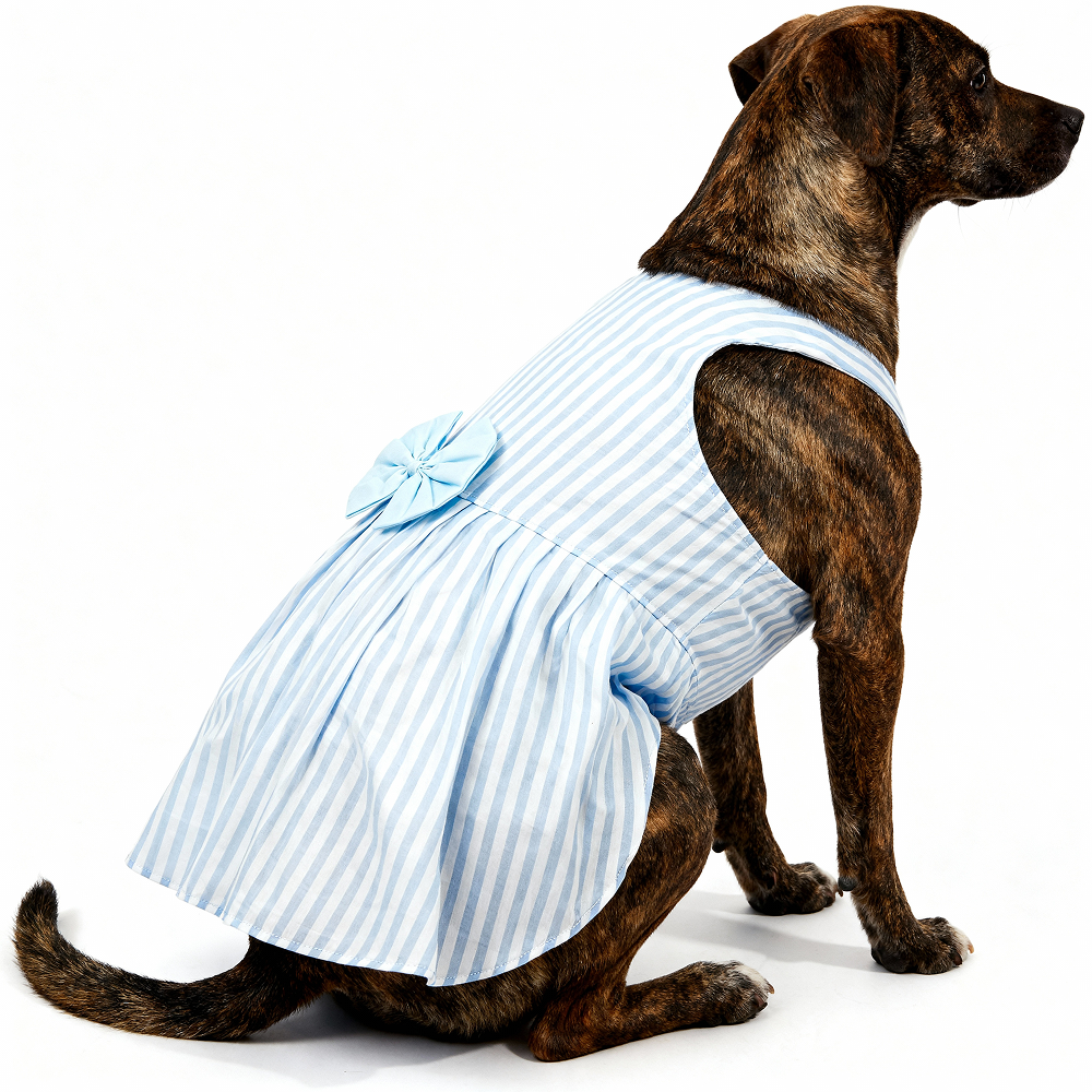 Skatrs Cotton Dress for Dogs and Cats (Blue and White Stripe)