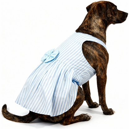 Skatrs Cotton Dress for Dogs and Cats (Blue and White Stripe)