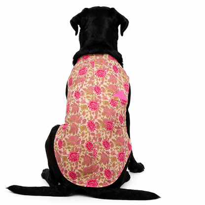 Skatrs Cotton Shirt for Dogs and Cats (Off White and Pink Lotus)