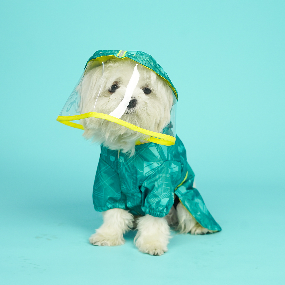 Pets Way TPU Raincoat with Cap for Dogs (Haze Teal)