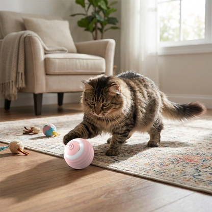 Cat Interactive Ball lifestyle