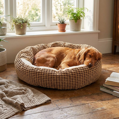 Cozy Dog Bed lifestyle