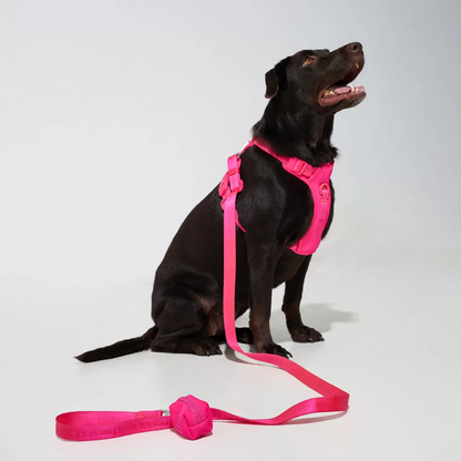Furry & Co Poop Bag Holder for Dogs (Electra)