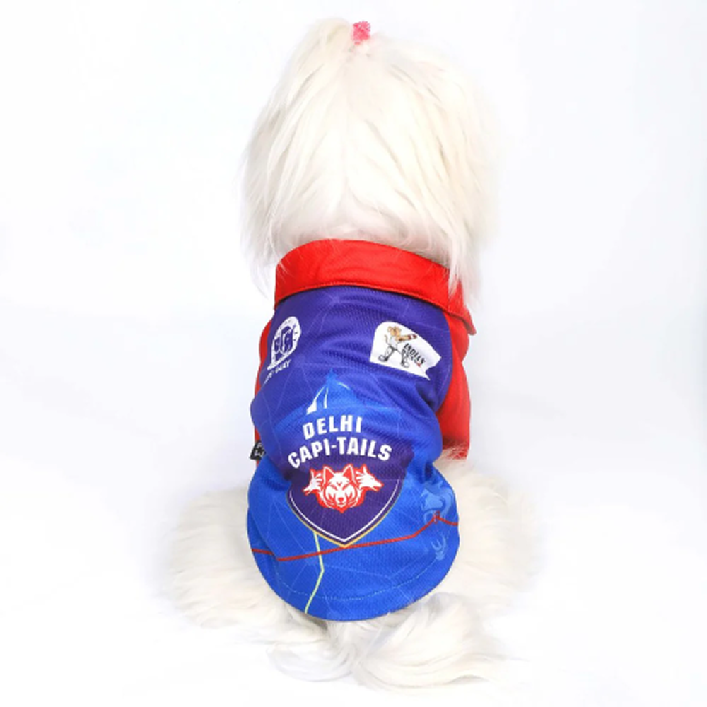 Pets Way Delhi Capi Tails IPL Jersey for Dogs and Cats (Blue)| Indian Pet League