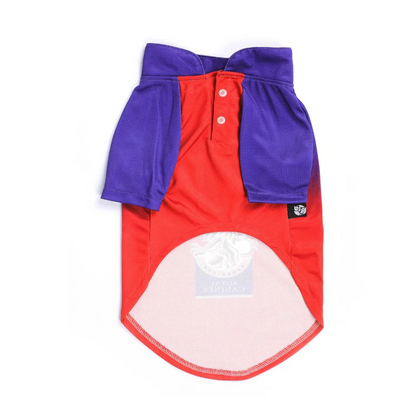 Pets Way Royal Canines Bangalore IPL Jersey for Dogs and Cats (Red/Blue)| Indian Pet League