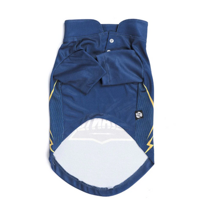 Pets Way Gujarat Giants IPL Jersey for Dogs and Cats (Blue)| Indian Pet League