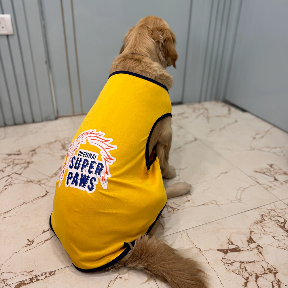 Chennai Supaw Kings ipl Jersey for Dogs and Cats | Indian Pet League