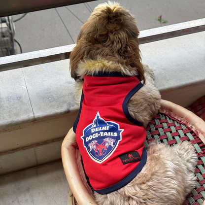 Delhi Dogi Tails ipl Jersey for Dogs and Cats | Indian Pet League