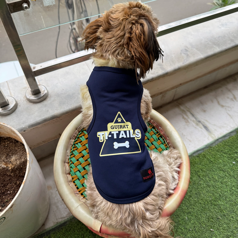 Gujarat Ti Tails ipl Jersey for Dogs and Cats | Indian Pet League
