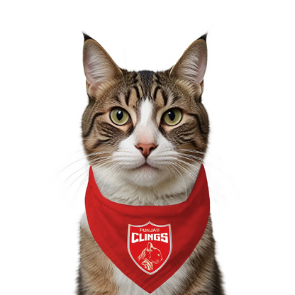 Ruse IPL Punjab Clings Printed Bandana for Cats (Red) | Indian Pet League