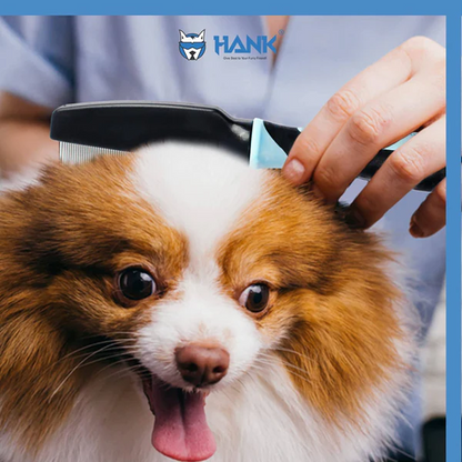 Hank Flea Comb for Pets (Blue)