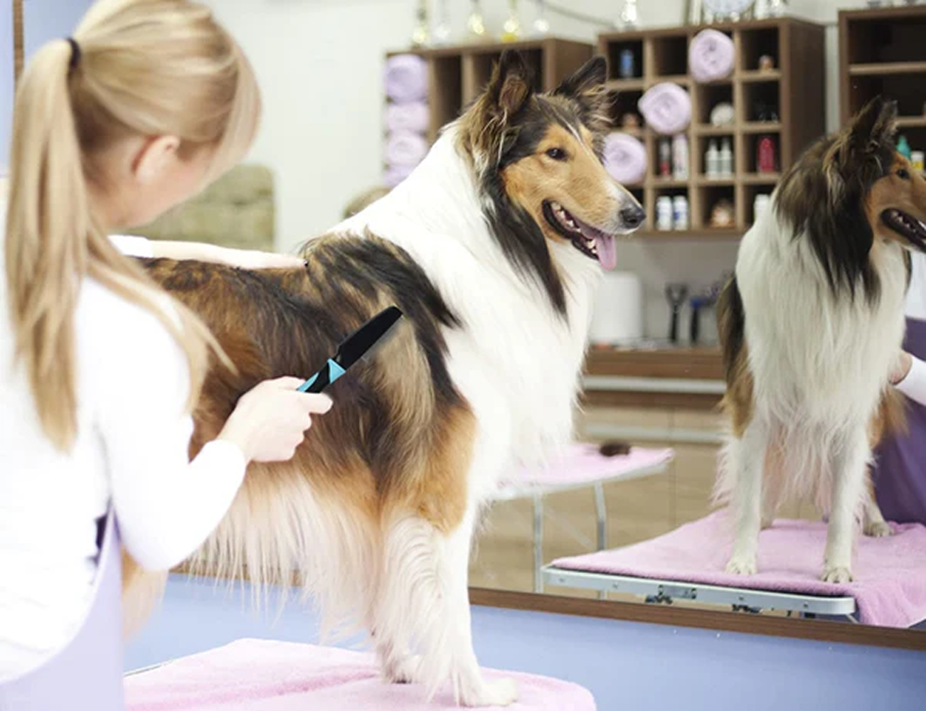 Hank Flea Comb for Pets (Blue)