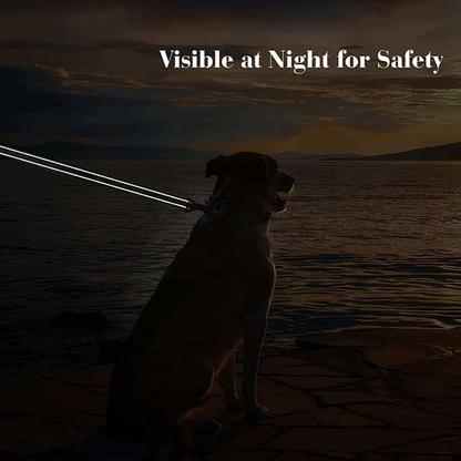 Hank Leash Design for Heavy Puller Dogs (Red)