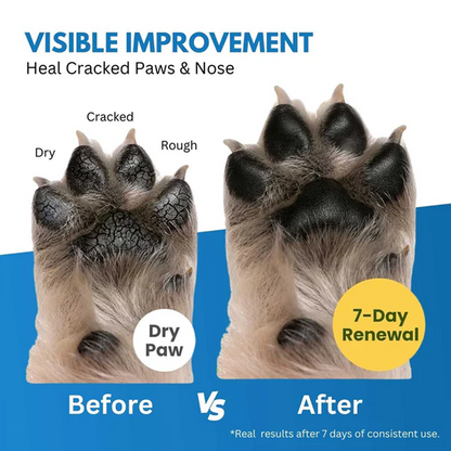 Hank Paw Cream for Dogs and Cats