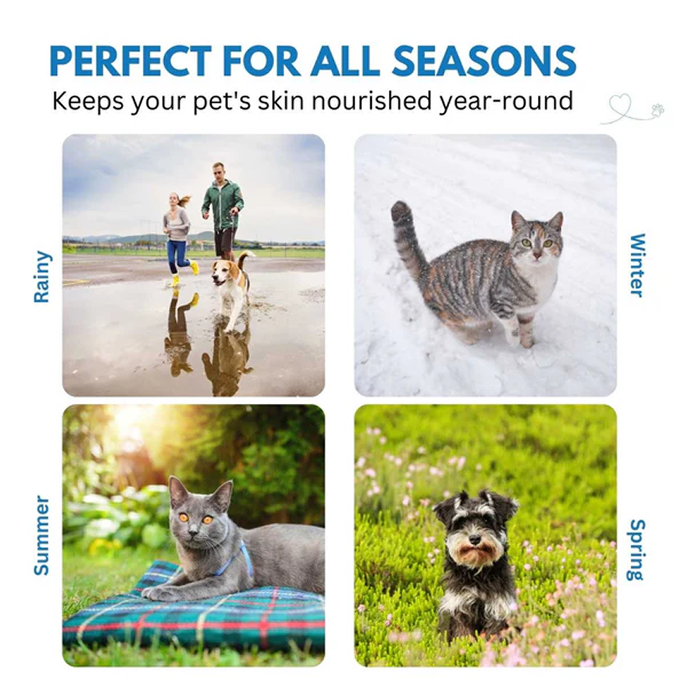 Hank Paw Cream for Dogs and Cats