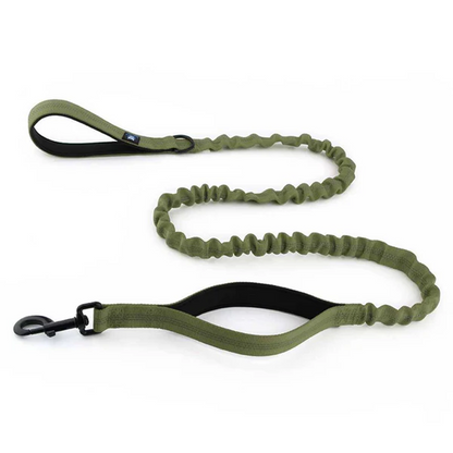 Hank Tactical Bungee Leash for Dogs (Green)