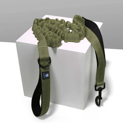 Hank Tactical Bungee Leash for Dogs (Green)