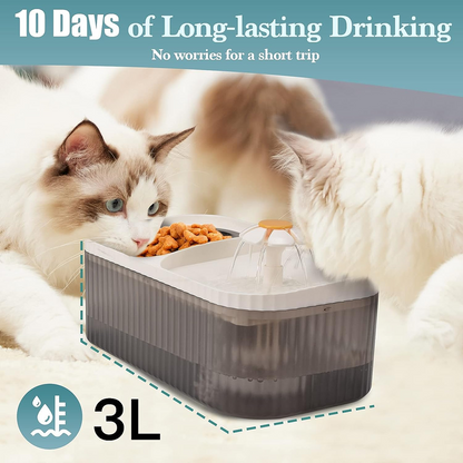Pet Vogue Exclusive Water Fountain and Food Bowl with Ultra-Quiet Water Dispenser for Cats and Small Dogs (White)