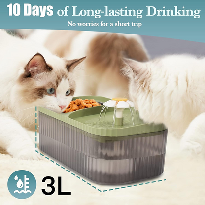 Pet Vogue Exclusive Cat Water Fountain and Food Bowl with Ultra-Quiet Pet Water Dispenser for Cats and Small Dogs (Green)