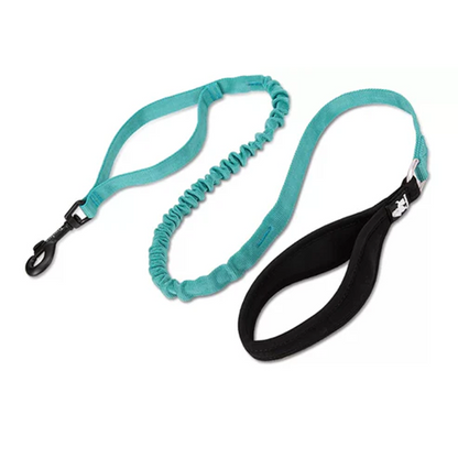 Truelove Bunjee Leash for Dogs (Baltic)