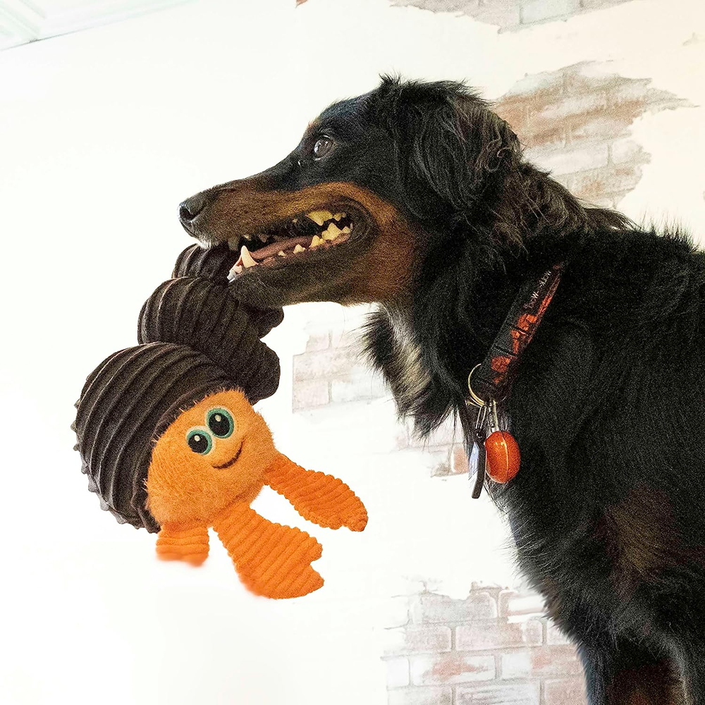 Kong Cuteseas Rufflez Hermit Crab Toy for Dogs (Brown)