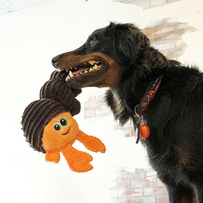 Kong Cuteseas Rufflez Hermit Crab Toy for Dogs (Brown)