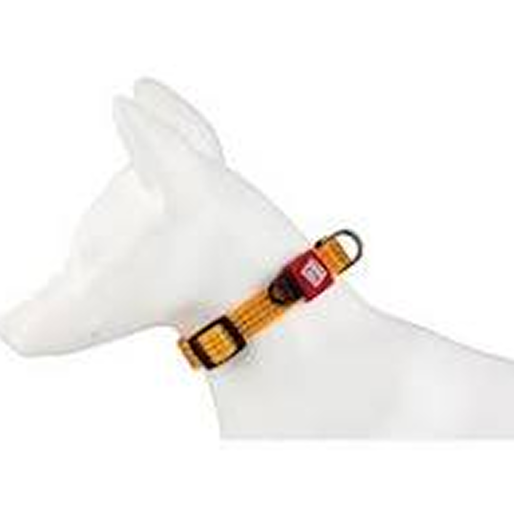 GiGwi Classic Line Collar for Dogs (Yellow)