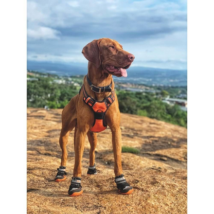 M Pets Hiking Shoes for Dogs (Orange/Black)