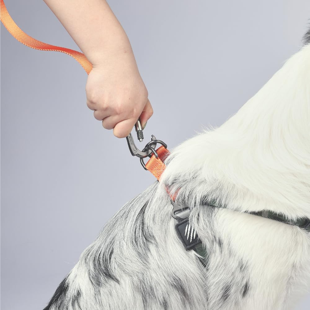 M Pets Wild Jungle Control Leash for Dogs