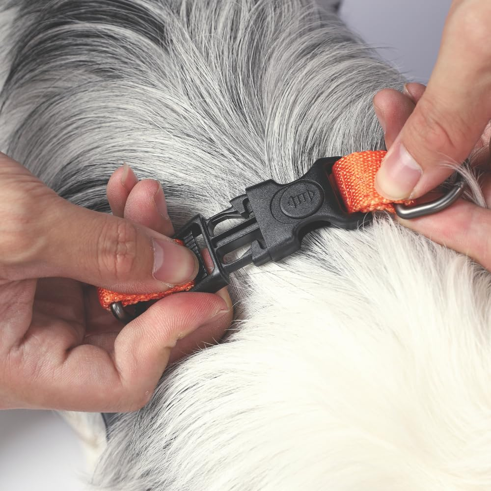 M Pets Wild Jungle Harness for Dogs