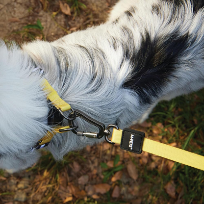 M Pets Wild Safari Control Leash for Dogs