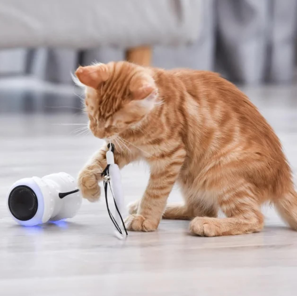PetVogue Electric Remote Controlled LED Interactive Toy with Speed Adjustment for Cats and Kittens