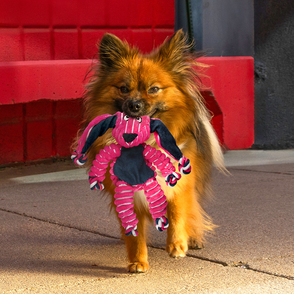Kong Cozie Floppy Rabbit Toy for Dogs (Pink)