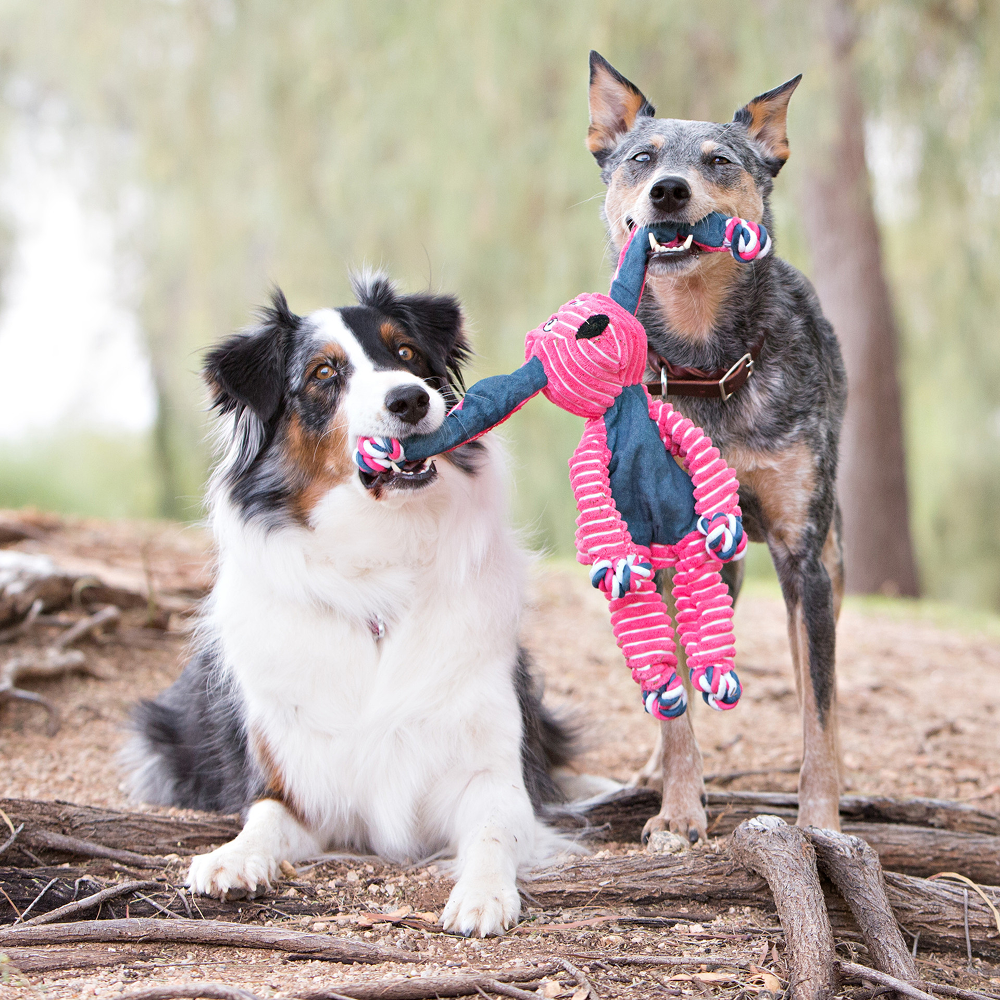 Kong Cozie Floppy Rabbit Toy for Dogs (Pink)