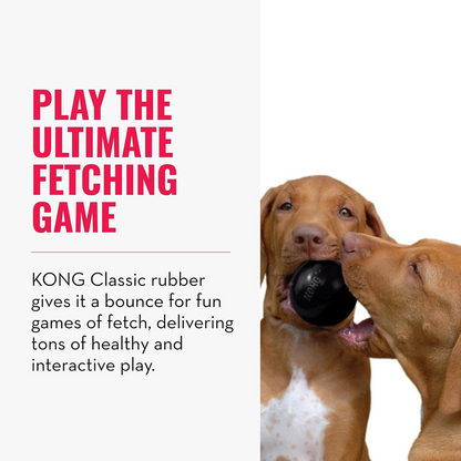 Kong Extreme Ball Toy for Dogs (Black)