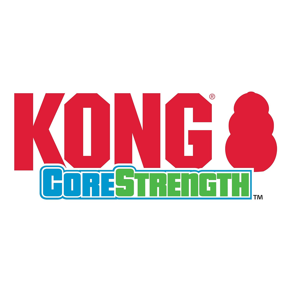 Kong CoreStrength Bone Toy for Dogs (Blue & Green)