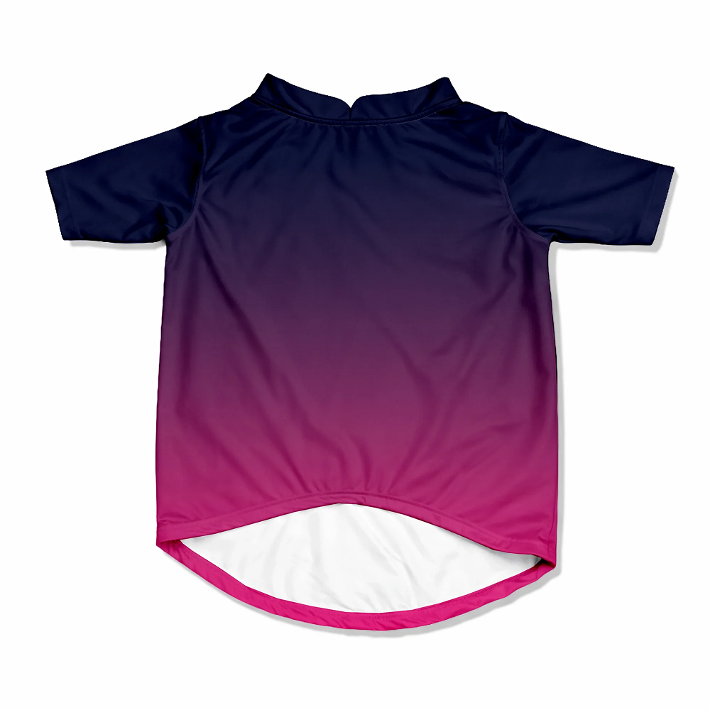 Pawsindia Rajasthan Puppies T20 Pets Premier League Jersey for Cats | Indian Pet League