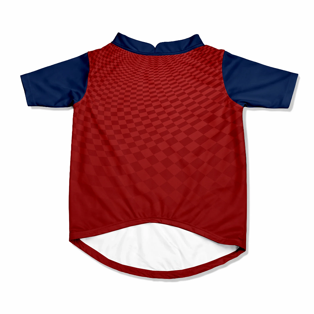 Pawsindia Punjab Puppies T20 Pets Premier League Jersey for Cats | Indian Pet League