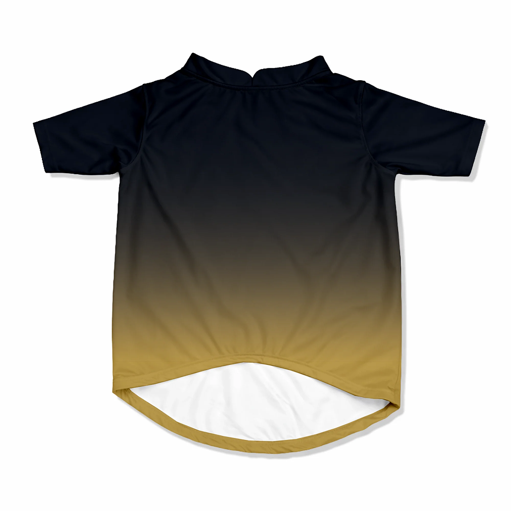 Pawsindia Gujarat Doggies T20 Pets Premier League Jersey for Dogs | Indian Pet League
