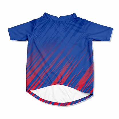Pawsindia Delhi Canines T20 Pets Premier League Jersey for Cats | Indian Pet League