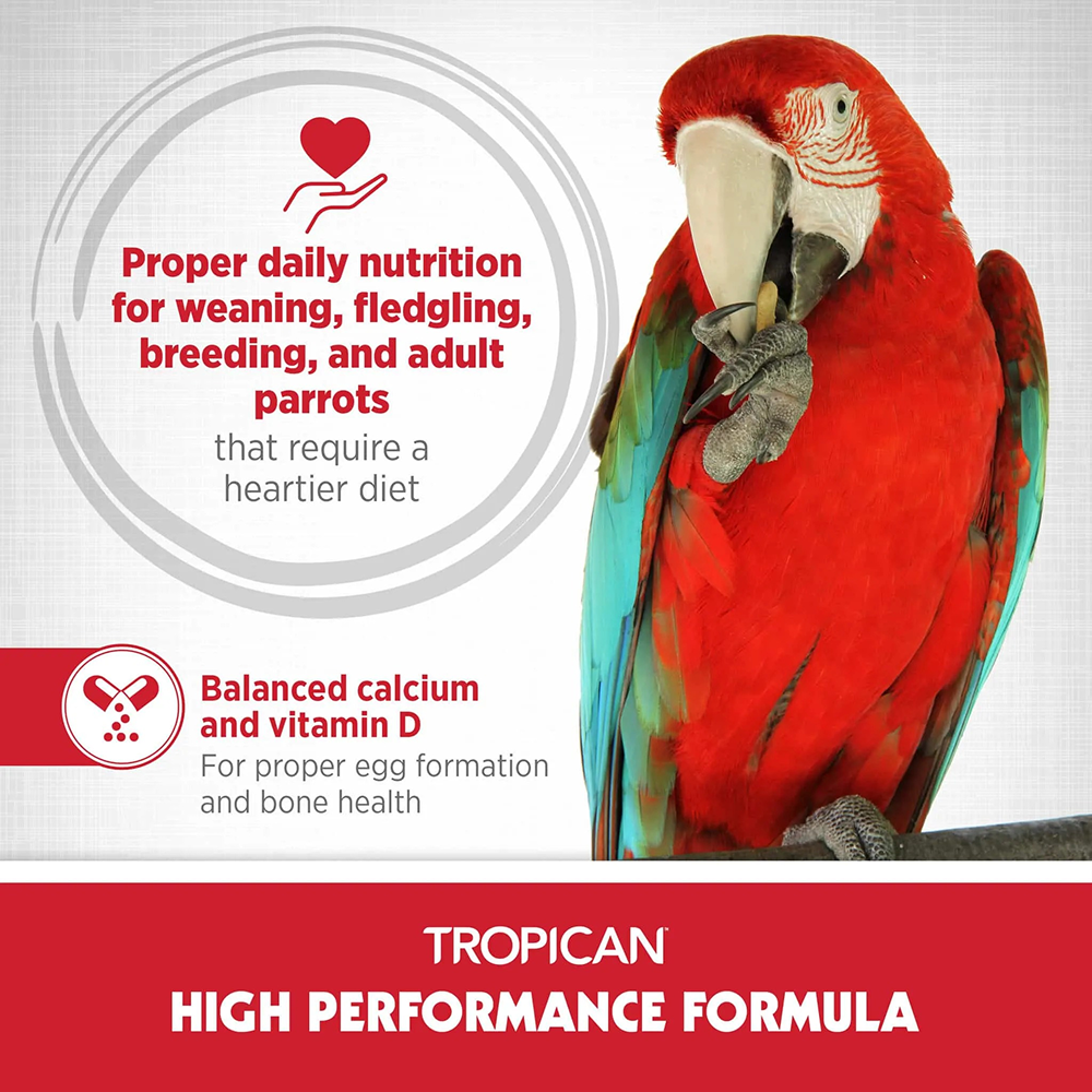 Hagen Tropican High Performance Formula Bird Food