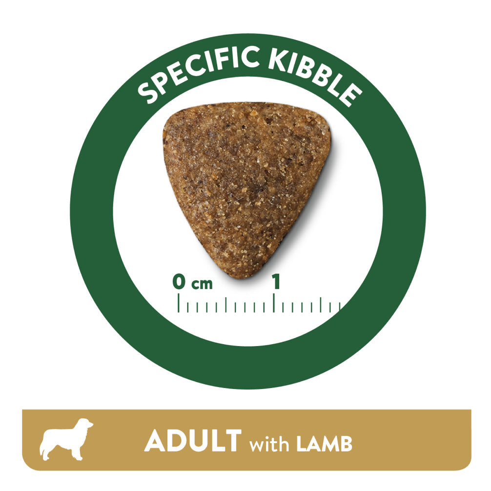 Affinity Libra Adult Dog Lamb Dry Food