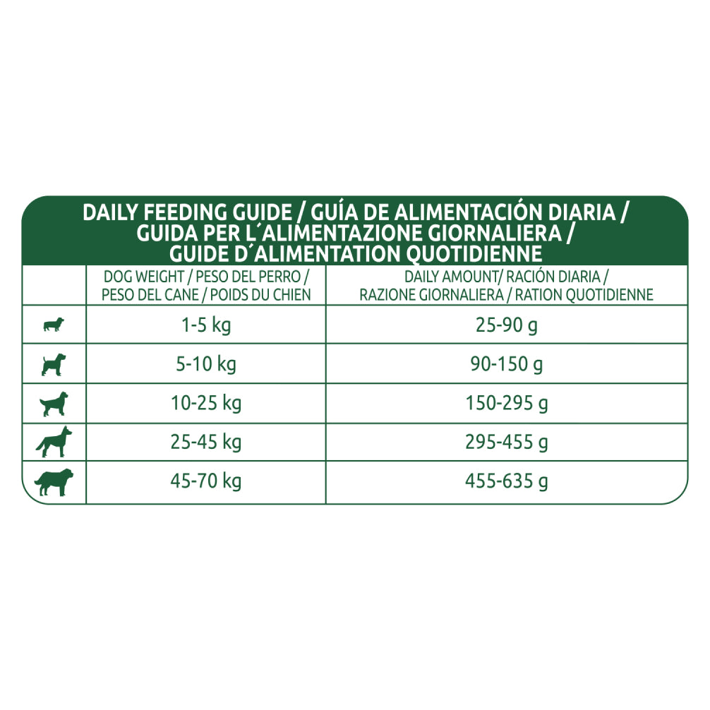 Affinity Libra Adult Dog Salmon Dry Food