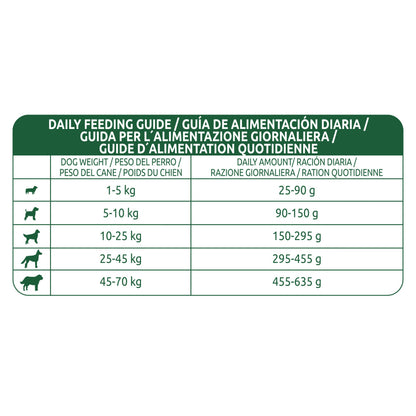 Affinity Libra Adult Dog Salmon Dry Food
