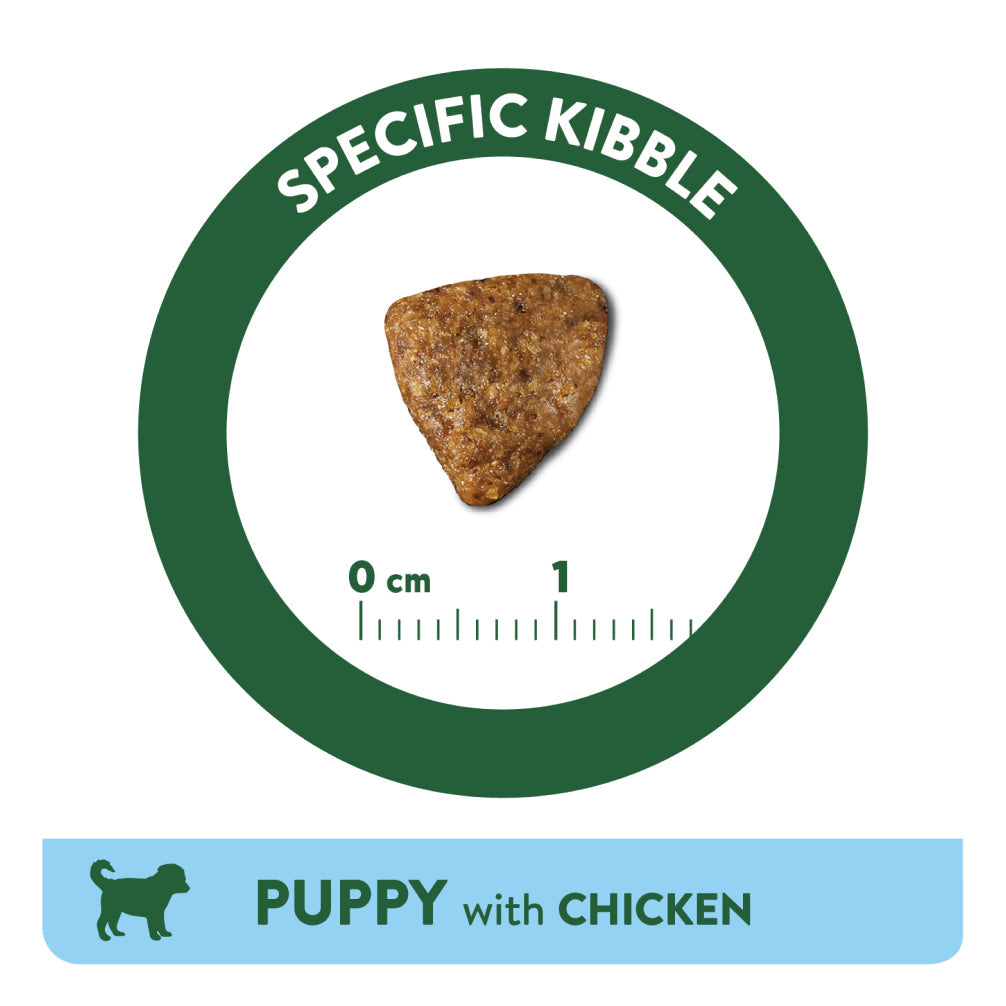 Affinity Libra Puppy Chicken Dry Food