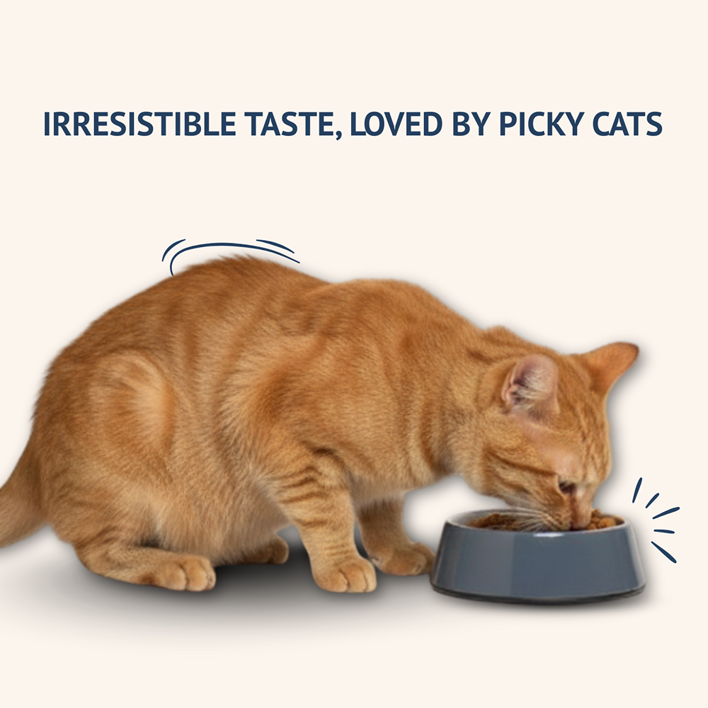 Goofy Tails Mackerel & Chicken Cat Meals